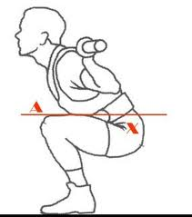 squat depth