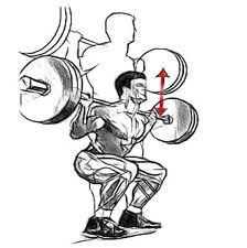 Squats: The King of All Exercises